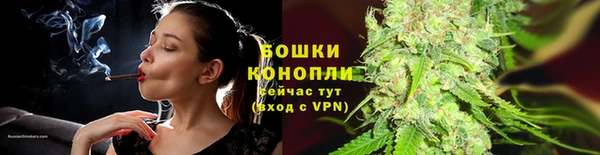 ПСИЛОЦИБИНОВЫЕ ГРИБЫ Балабаново